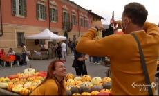 Piozzo: i telespettatori di Italia 1 hanno potuto scoprire la mostra delle zucche a Studio Aperto