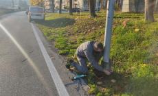 Mondovì, al via il piano di derattizzazione della città