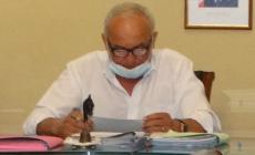 Vicoforte: troppi cinghiali in località Martini, il sindaco chiede una battuta di caccia straordinaria