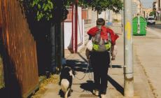 Il Cammino di Santiago con il proprio cane