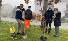 Festa degli alberi a Magliano Alpi con i bimbi delle scuole 