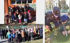 “Giornata nazionale dell’albero” a Mondovì, Ceva e Ormea: i carabinieri forestali festeggiano con gli alunni