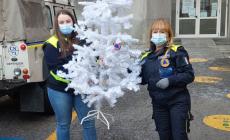 Natale, "Un bel regalo per i nostri bambini". L'assessore comunale Luca Robaldo ringrazia la Protezione Civile di Mondovì 