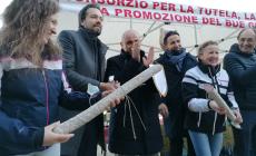 VIDEO - PRESENTAZIONE FIERA DEL BUE GRASSO DI CARRÙ 2021