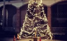 Natale, sorridere