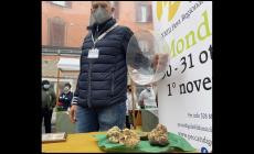 Cerca e cavatura del tartufo in lista patrimonio Unesco: sì a candidatura italiana del Comitato valutazione a Parigi