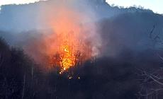 Incendio a Fontane: squadre di vigili del fuoco impegnate di notte