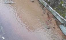 Torre: chiazze rosse nel torrente Corsaglia