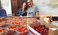 Dogliani: l’amministrazione sposta la Fiera della Ciliegia a giugno