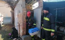 Mondovì: vigili del fuoco salvano due gattini caduti in un pozzo