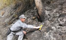 Incendi boschivi: già 7 denunce da inzio anno in Piemonte 