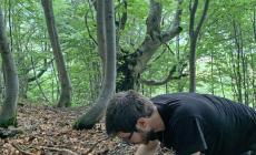Nuove specie nella fauna del suolo del Parco del Marguareis
