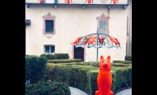 Mondovì: 3200 euro dal “Circolo delle idee” alla Primaria del Ferrone. Somma ricavata dalla vendita degli oggetti di “Cracking art”