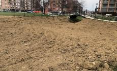 Progetto “+Api”: oasi di biodiversità nel Parco Europa


