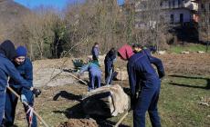 Alberi a Roburent grazie agli studenti della Scuola Forestale di Ormea