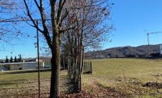Pianfei: presentato in Consiglio il progetto del “parco dei ragazzi”