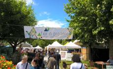 Vicoforte: conto alla rovescia per Florete Flores, torna “Fior di Pro Loco”