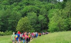 Pianfei: in centinaia alla Mangiandando