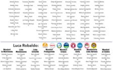 ELEZIONI COMUNALI A MONDOVI': TUTTI I DATI. Li abbiamo raccolti ed interpretati per voi
