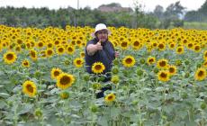 A Farigliano un labirinto di girasoli!