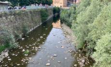Siccità. Per Roccaforte, Villanova e Mondovì: «Situazione critica, non escludiamo ulteriori drastiche misure: razionamento dell'acqua»