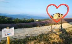 L'Avis di Ceva ci Mette il cuore: la campagna di sensibilizzazione alla donazione del sangue passa fra i prati di lavanda
