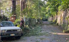 Pioggia, vento forte e grandine a Mondovì e Pogliola