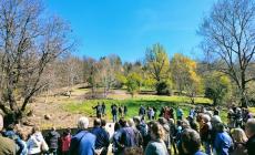 Mondovì apre il suo bosco prezioso: la riqualificazione della Nova con sentieri e punto panoramico