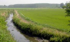 Magliano Alpi: appello del sindaco alla manutenzione dei canali
