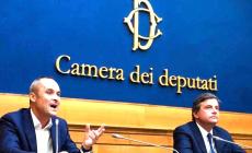 INTERVISTA - Enrico Costa: «Con Calenda costruiamo il centro»