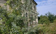 La stazione di Beinette ormai “inghiottita” dalla vegetazione