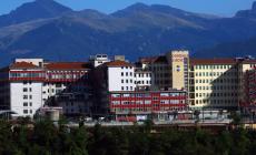 Peveragno: donna punta da vespe muore per shock anafilattico