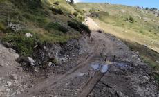 Sugli alpeggi di Magliano una nuova pista silvo pastorale
