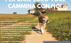 Anche il Canile Rifugio 281 di San Michele in “Cammino per gli Animali”