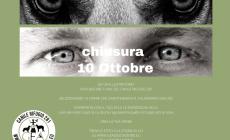 La storia di Cù ispira il calendario GEA 2023
