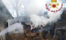 Bossolasco, incendio in stalla: muoiono alcuni agnelli