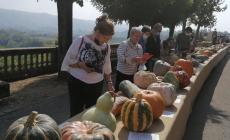 Piozzo: torna la Fiera della Zucca e si allunga fino all’Alba Rosa