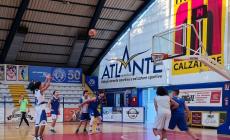Basket C: continua l'avventura dei "Galli", a guidarli sarà coach Viara