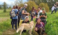 Il Canile Rifugio 281 ha camminato per gli animali