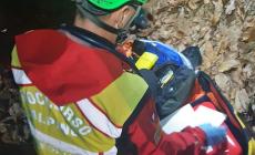 Castelnuovo di Ceva: cercatore di funghi muore nei boschi