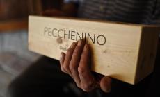 Dogliani: Pecchenino tra le 130 migliori cantine d’Italia secondo il “Wine Spectator”