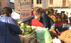 &ldquo;Sono Cavoli Tuoi&rdquo;: Mondov&igrave; celebra l&rsquo;estate di San Martino
