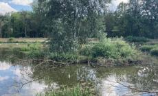 Giornata per gli alberi alla Riserva di Crava Morozzo 