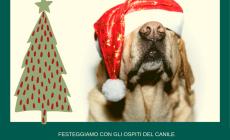 Un mercatino di Natale ecosostenibile e solidale al Canile Rifugio 281