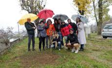 Niella: tre alberi in memoria di Mathilde Canova