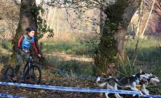 Sleddog: i vicesi Sigotti brillano agli Europei