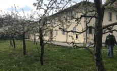 Ceva: affidato l’incarico per l'allestimento del Museo del fungo