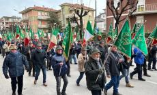 Mondovì: oltre 2.000 fra alpini e simpatizzanti  al corteo dell'80° della Battaglia di Nowo Postojalowka