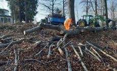 Chiusa Pesio: il Comune si prende cura del patrimonio verde