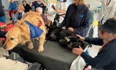 Mondovì: la pet therapy rende felici gli ospiti del “Sacra Famiglia”